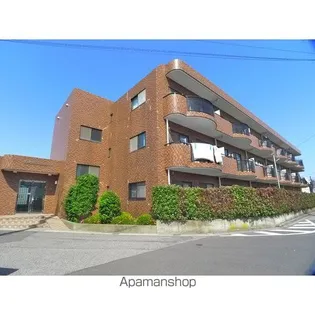 フォレスト ハサマの画像
