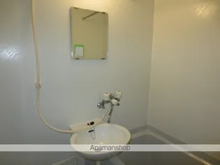 レオパレスグレイス下田【202号室】の風呂