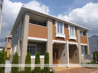 プリムローズの画像