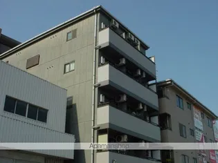 GRACEの画像