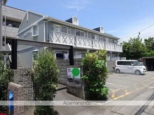 ハミング千代の画像