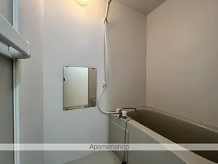 ダイナーズ鶴島【3階】の風呂