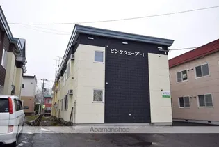 ピンクウェーブIの画像