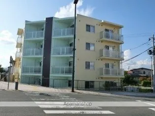 シグナスの画像