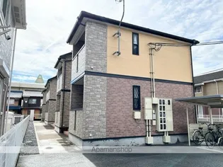 ルーステララの画像