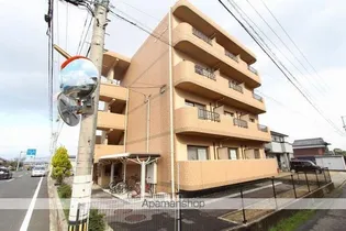 マリベールKの画像