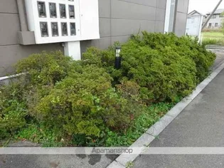 レオパレス飯島Ⅱ【104号室】のその他画像