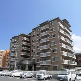 プレステージ和白Vの画像