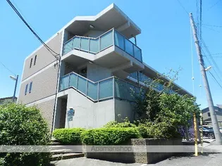 GRACE SASAの画像