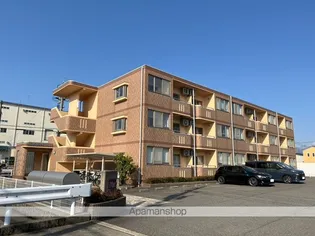 ブライトハートの画像