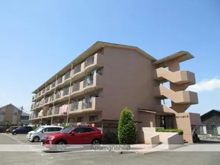 ルミエール吉村の画像