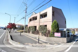 プリムールの画像