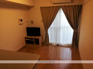 レオパレスシュロスベルグ【101号室】の居間