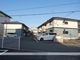 バンビーノAの画像