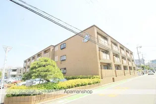 エデラ カーサの画像