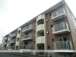 カナヤハイツⅡ【3階】の外観