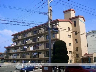 プレシャスコーラルの画像