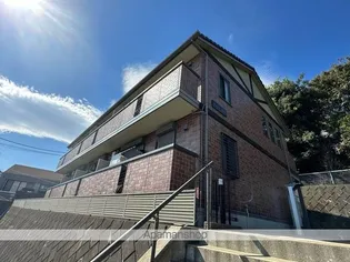 グラシューズ Mの画像