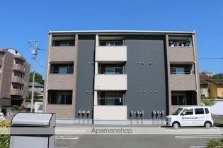 カトレアの画像