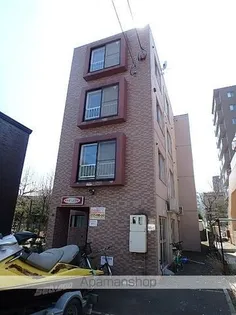 オルセーN19の画像