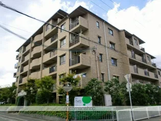 GROOVE塚口の画像