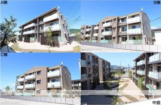 MAST TOWN GRACEの画像