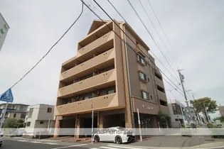 FELICEの画像