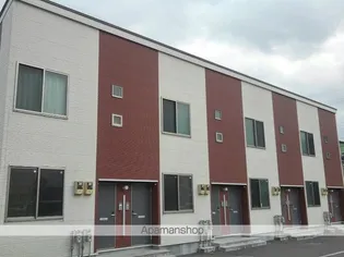 レオネクストカシオペアの画像