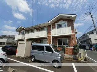 マロニエの画像