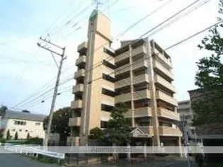 サンヴューパレス長丘【4階】の外観