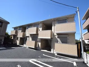 プラシードの画像