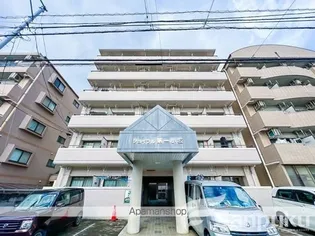 愛媛県松山市小坂1丁目【マンション】の外観