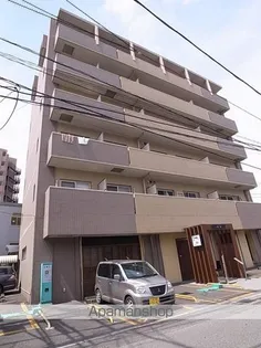 パンスターチスの画像