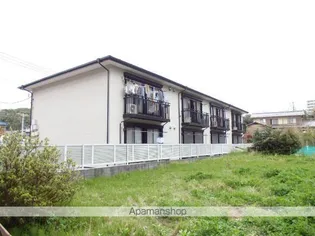 グローリアの画像