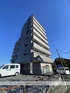 メイン石井の画像