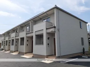 オーロラ中村南の画像