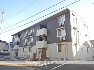 アモーレの画像