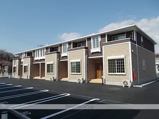 グレイスの画像