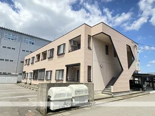 シャンテタカセの画像