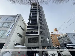 WELLZ N5の画像