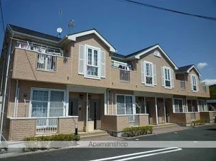 プラシドCの画像