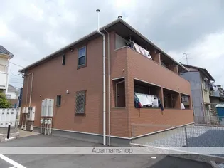 アルカン シェルの画像