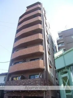 トーシンフェニックス松濤の画像