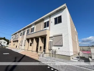 コンチェルトの画像