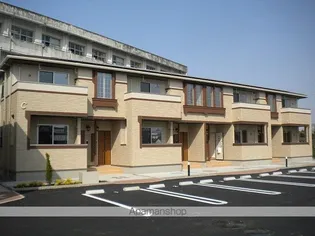 エピナール Cの画像