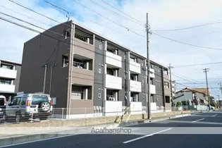 サニー ジェントリーの画像