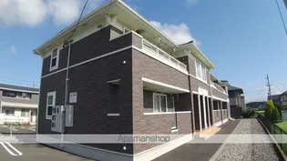 シトロン フィオーレの画像