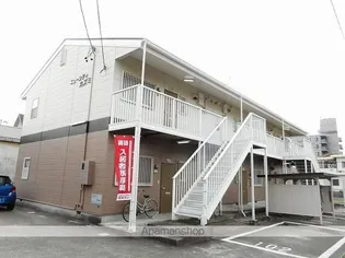ニューシティカズミの画像