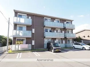 アンビエラの画像