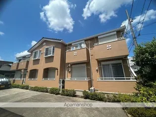 フラットコートBの画像